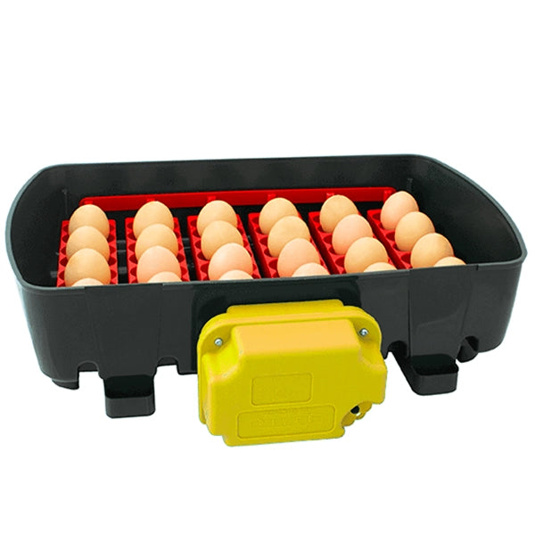 Incubadora Ovokatis 24 Humidade Automática