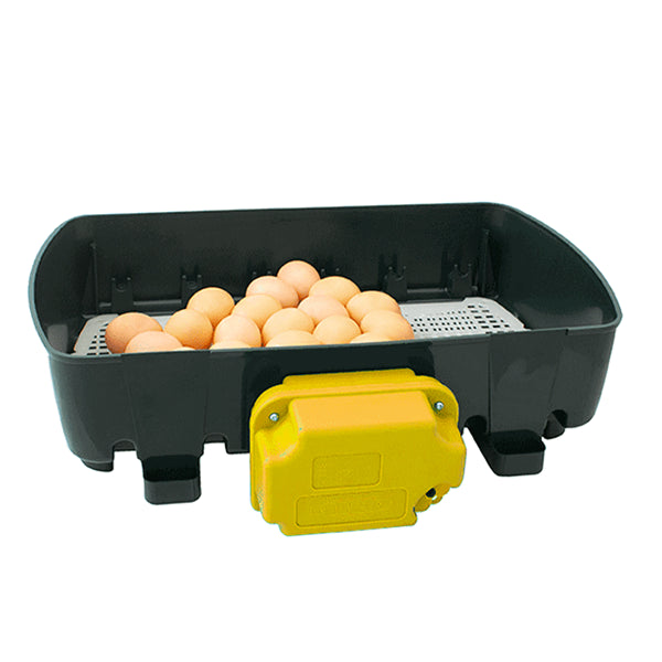 Incubadora Ovokatis 24 Humidade Automática