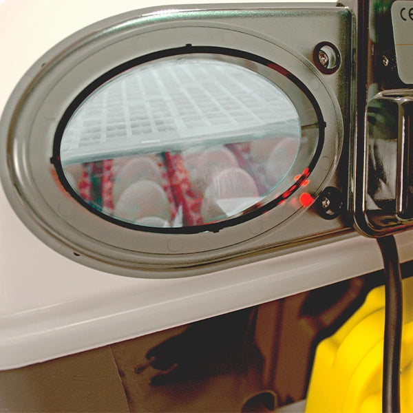 Incubadora Ovokatis 24 Humidade Automática