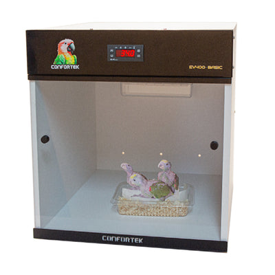 Criadora EV400 Basic - PECFARM