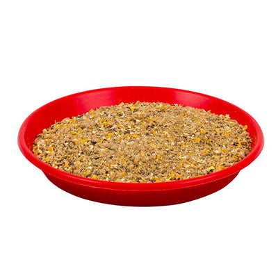 Plato para aves de 1ª edad, 40 cm - PECFARM