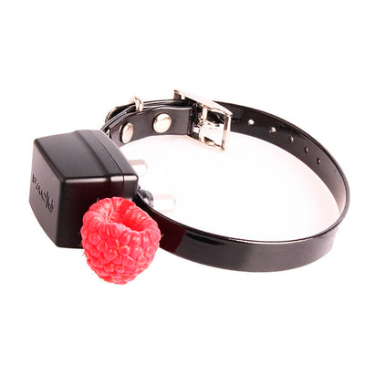 Valla Invisible Pacfence - Mini - PECFARM