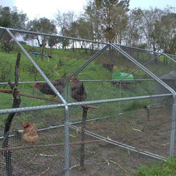 Gallinero Exterior 4x3x2m (Estructura Fuerte) + OFERTA 1 funda impermeable +1 Nido 1 con recogida