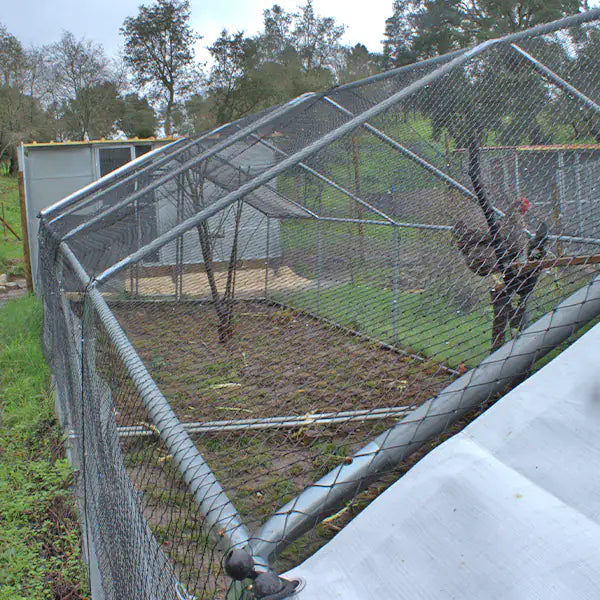 Gallinero Exterior 4x3x2m (Estructura Fuerte) + OFERTA 1 funda impermeable +1 Nido 1 con recogida