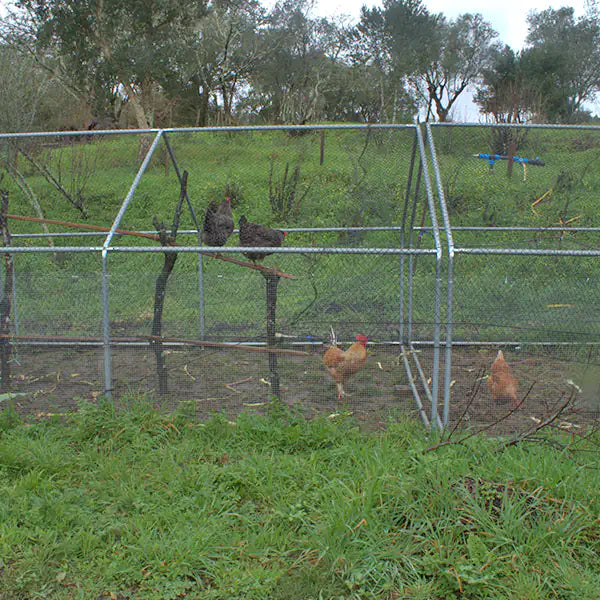 Gallinero Exterior 4x3x2m (Estructura Fuerte) + OFERTA 1 funda impermeable +1 Nido 1 con recogida