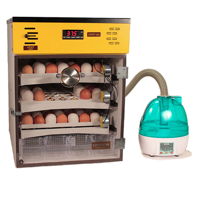 Incubadora Confortek Osiris 170HX - PECFARM